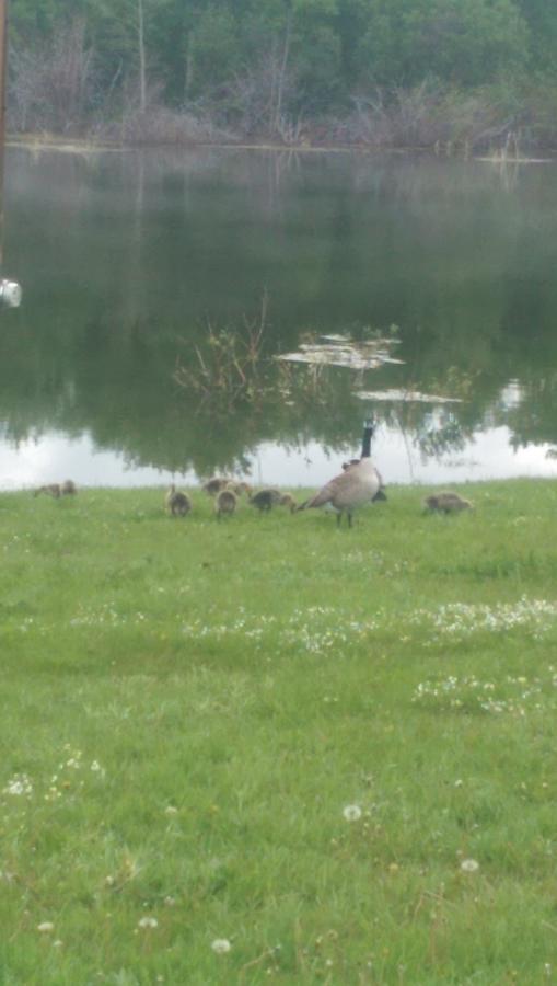 Duck Lake 2*