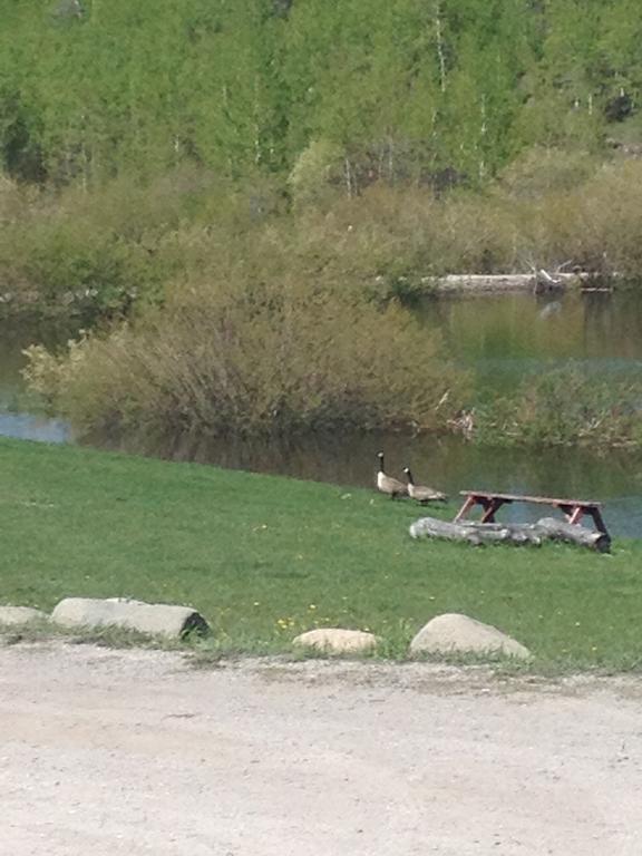 Duck Lake Inn 2*